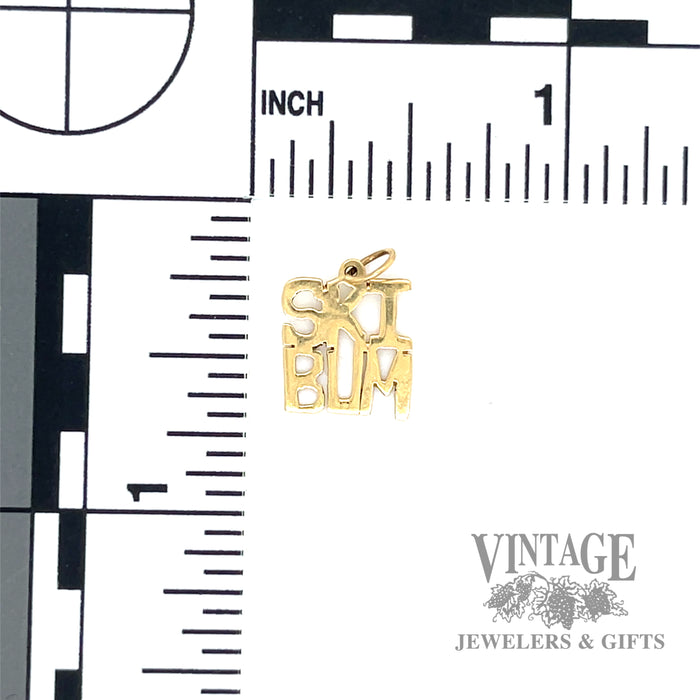 Ski Bum 14k yellow gold charm