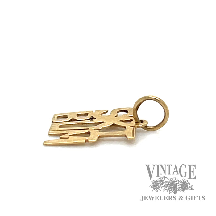 Ski Bum 14k yellow gold charm