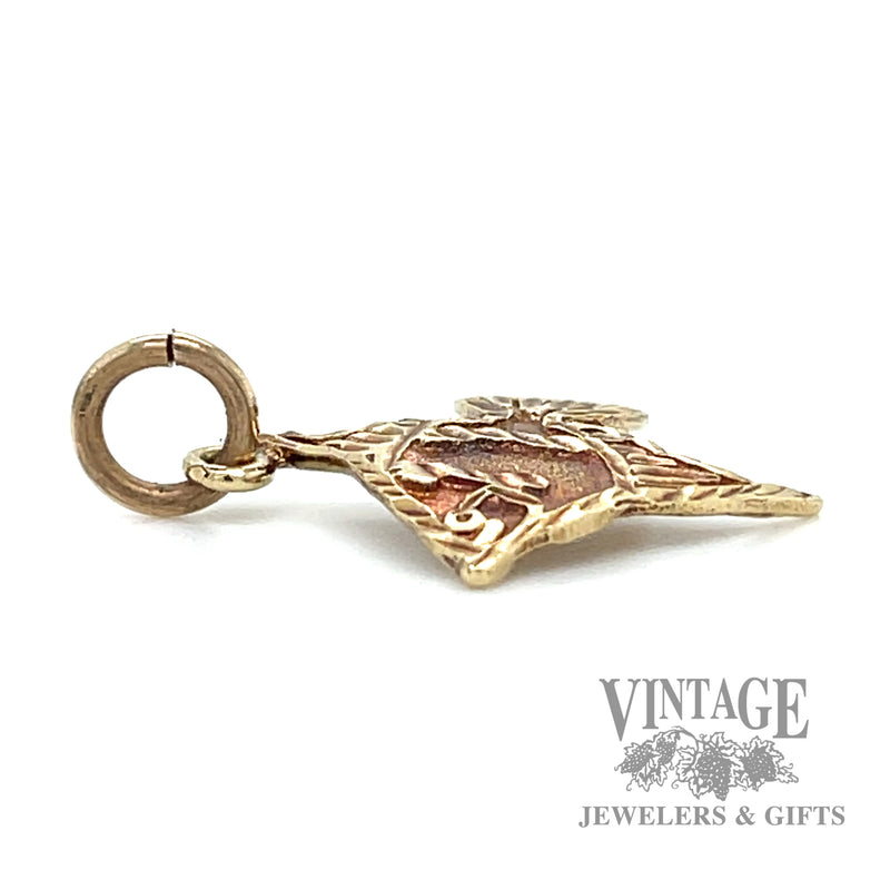 Angelfish 14 karat gold charm