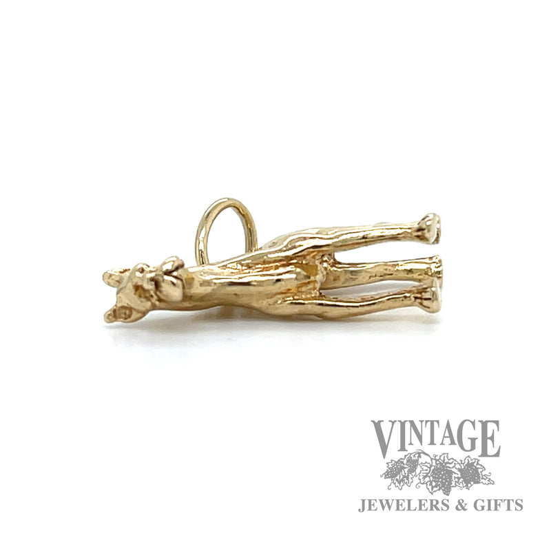 Great Dane gold charm