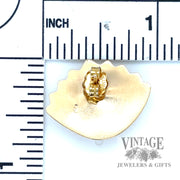 Puffed  Sea Shell 14k yellow gold earrings scale