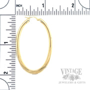 Oval Tube Hoops 18K Yellow Gold Earrings Scale View
