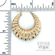 35 mm Shrimp 14k Gold Hoop Earrings Scale View