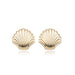 14 karat yellow gold scalloped shell button earrings