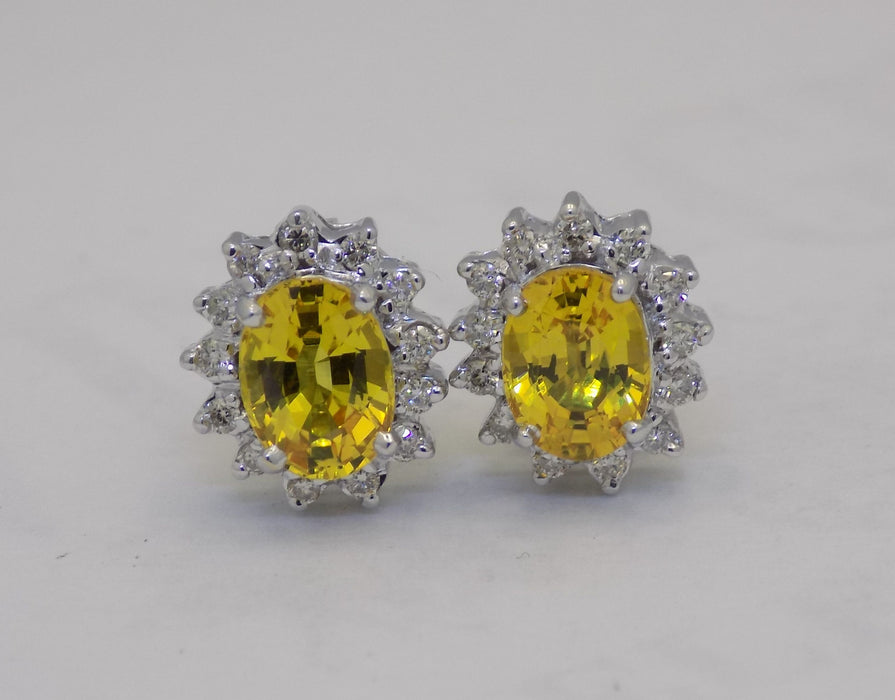 White gold golden sapphire diamond halo earrings.