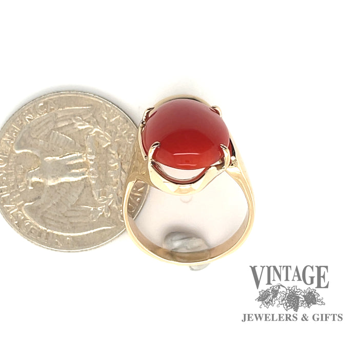 Red coral 14ky gold contemporary ring quarter for scale